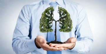 Nanopartículas emitidas por veículos motorizados são responsáveis por inúmeros problemas respiratórios