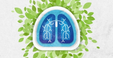 Centro de Referência de Transplante Pulmonar do CHULC recebe distinção da DGS