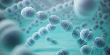 Estudo demonstra pela primeira vez que as mãos são veículo transmissor de Streptococcus pneumoniae