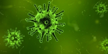 Instituto Ricardo Jorge prevê pico da gripe nos próximos dias com um surto “não muito complicado”