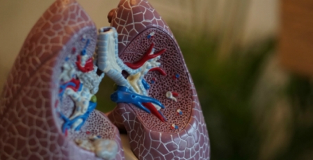 Doenças intersticiais pulmonares responsáveis por um quinto das consultas de Pneumologia