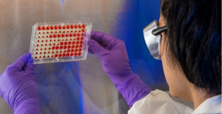 Investigadores portugueses publicam estudo inédito sobre tuberculose multirresistente