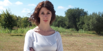 Zonas verdes no centro das cidades melhoram significativamente a qualidade do ar, revela estudo da Universidade de Aveiro