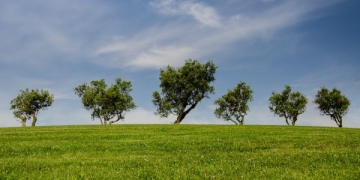 SPP deixa “bom ar” no Algarve