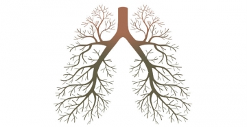 EMA emite parecer positivo sobre combinação de pembrolizumab com quimioterapia no tratamento em primeira linha de adultos com CPCNP escamoso metastático