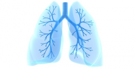 “Pulmões artificiais” ajudam doentes com patologias graves a respirar de novo