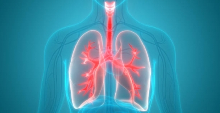 Estudo revela que pneumonia por COVID-19 causa mais danos do que a pneumonia comum