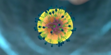 5.ª Reunião da Vigilância Epidemiológica da Gripe em outubro