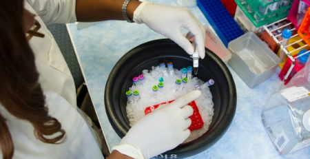 Diversidade genética da bactéria da tuberculose influencia manifestação da doença