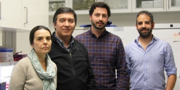 Cientistas portugueses identificam novos alvos para combater as infeções pulmonares crónicas