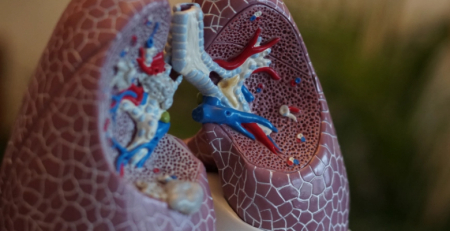 Investigadores estudam nova terapia para hipertensão arterial pulmonar