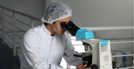 Veneno de escorpião pode ser usado como antibiótico contra tuberculose e pneumonia, revela estudo