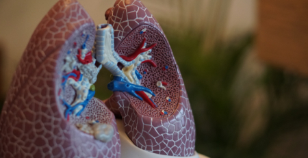 SPP promove iniciativa sobre défice de alfa-1 antitripsina junto dos profissionais de Saúde