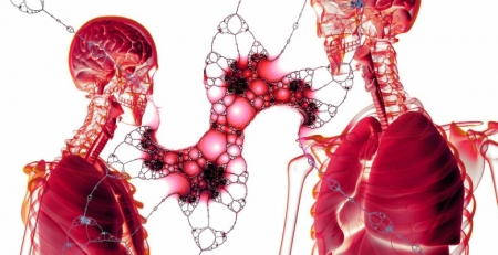 Escola de Pneumologia 2019: "Doença Vascular Pulmonar" no centro da discussão