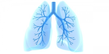 Pneumonia bacteriana: ceftolozano/tazobactam cumpre endpoints primários de não-inferioridade em comparação com meropenem