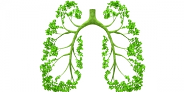 MSD promove evento dedicado à imunoterapia no tratamento do cancro do pulmão