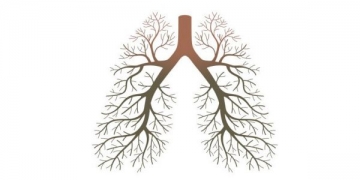 Serviço de Pneumologia do IPO de Lisboa promove curso prático de Broncologia