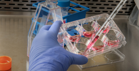 GSK inicia ensaio clínico de fase 3 em vacina candidata para VSR na população sénior