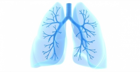 Doenças respiratórias entre as principais causas de morte em Portugal