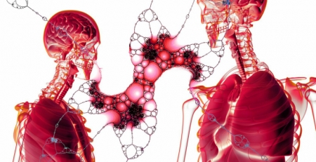 Reunião Anual da Comissão de Trabalho de Reabilitação Respiratória da SPP decorre já amanhã