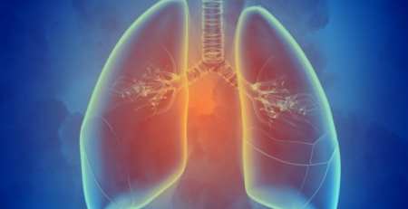Núcleo de Estudos de Ecografia cria manual e recomendações sobre ultrassonografia pulmonar