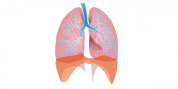 Nova terapêutica da MSD volta a revelar benefícios continuados em doentes com CPCNP
